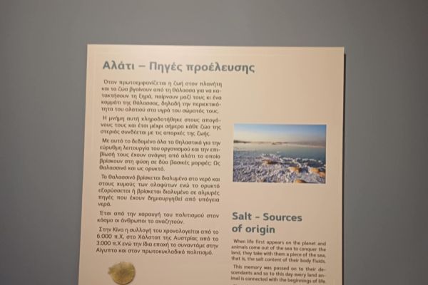 image0000393E4D39F-6DB2-9EAB-40F8-6E9F1D82BBF8.jpeg
