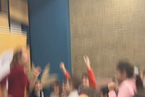 image000118B826847-EF91-85D7-0E20-5E65C7139813.jpeg