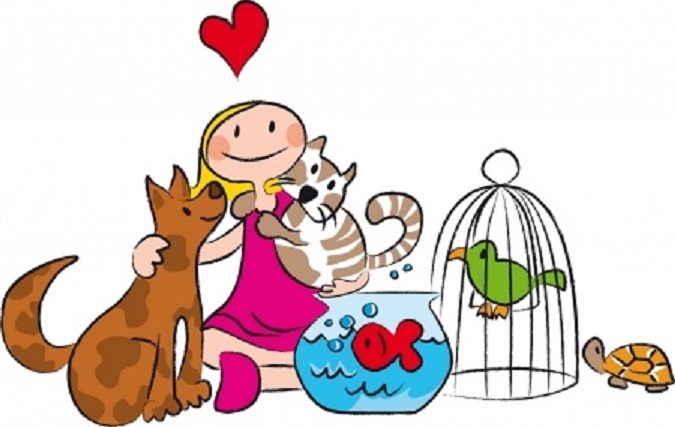 my pet